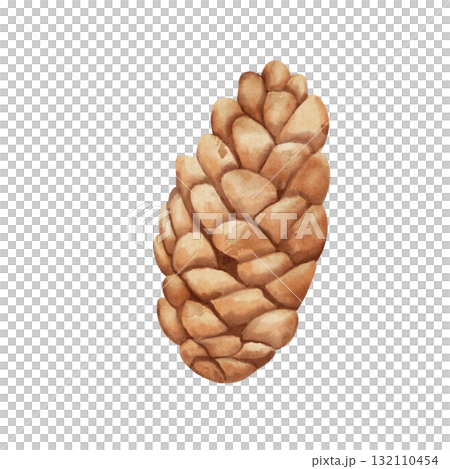 Pine cone. Watercolor botanical illustration of dry pine cone. Hand-drawn, isolated on white background. Part of fir or pine tree Pine cone. Watercolor botanical illustration of dry pine cone. Hand-drawn, isolated on white background. Part of fir or pine tree 132110454