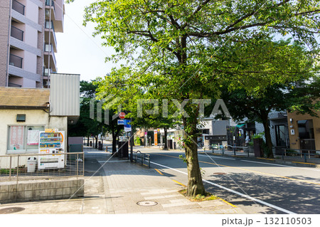 聖蹟桜ヶ丘駅に続く街路樹　さくら通り　朝の散歩　東京都多摩市関戸 132110503