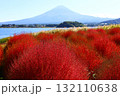 コキアの紅葉と富士山の秋景色（大石公園） 132110638