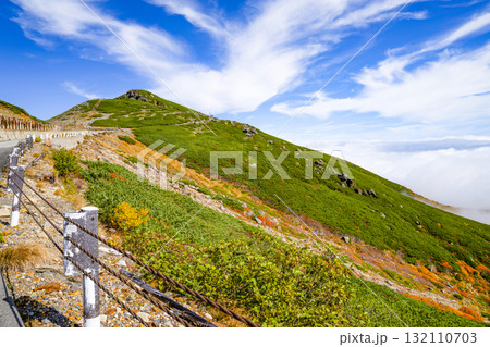 乗鞍エコーライン沿いの紅葉（2025） 132110703