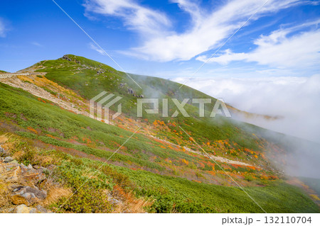 乗鞍エコーライン沿いの紅葉（2025） 132110704