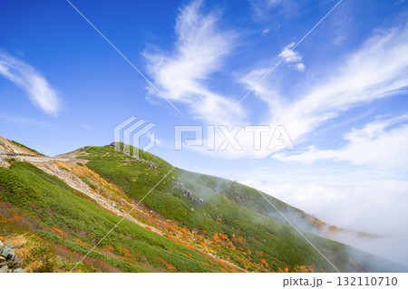 乗鞍エコーライン沿いの紅葉（2025） 132110710