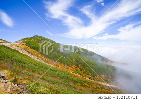 乗鞍エコーライン沿いの紅葉(2025) 乗鞍エコーライン沿いの紅葉(2025) 132110711