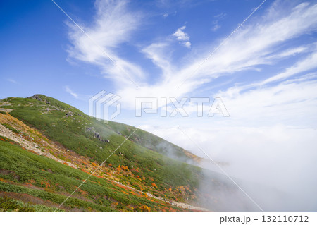 ガスに覆われる乗鞍エコーライン沿いの紅葉（2025） 132110712