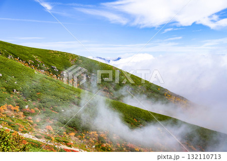 ガスに覆われる乗鞍エコーライン沿いの紅葉（2025） 132110713