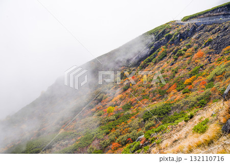 ガスに覆われる乗鞍エコーライン沿いの紅葉（2025） 132110716