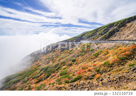 ガスに覆われる乗鞍エコーライン沿いの紅葉（2025） 132110719