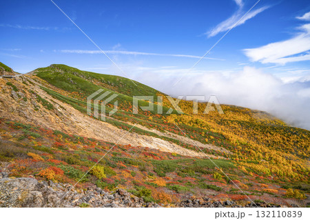 乗鞍エコーライン沿いの紅葉（2025） 132110839