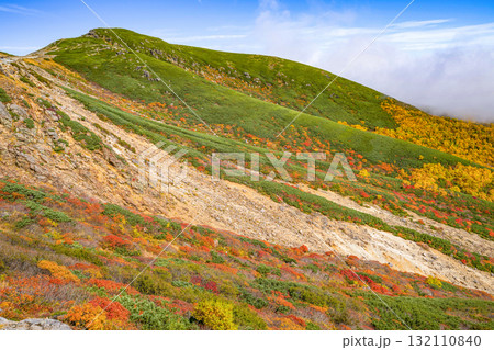 乗鞍エコーライン沿いの紅葉（2025） 132110840