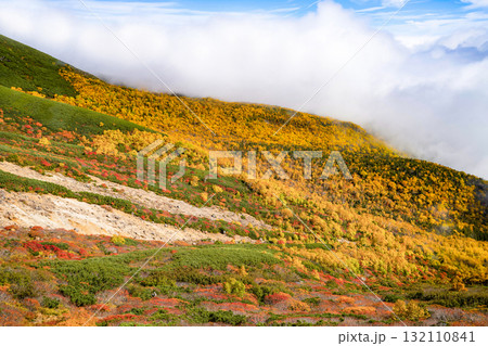 乗鞍エコーライン沿いの紅葉（2025） 132110841