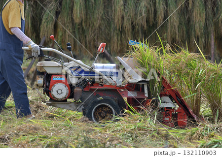 稲刈り 一条刈りバインダーでの作業風景 自然乾燥派の農家 稲刈り 一条刈りバインダーでの作業風景 自然乾燥派の農家 132110903