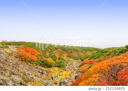 乗鞍エコーライン沿いの紅葉（2025） 132110933