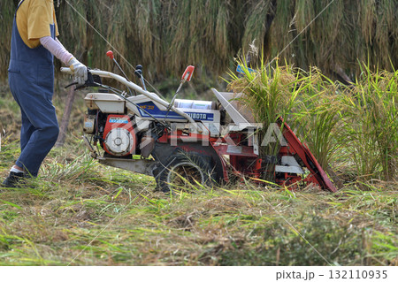稲刈り 一条刈りバインダーでの作業風景 自然乾燥派の農家 稲刈り 一条刈りバインダーでの作業風景 自然乾燥派の農家 132110935
