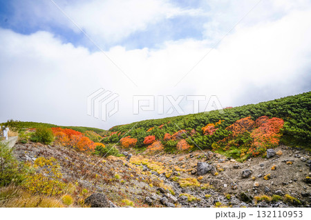 ガスに覆われる乗鞍エコーライン沿いの紅葉(2025) ガスに覆われる乗鞍エコーライン沿いの紅葉(2025) 132110953