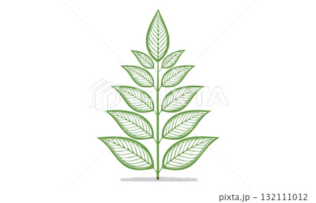 植物の線画1 植物の線画1 132111012