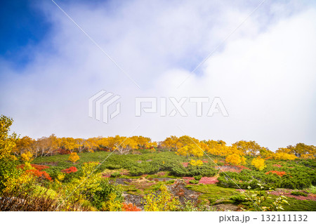 乗鞍エコーライン沿いの紅葉（2025） 132111132