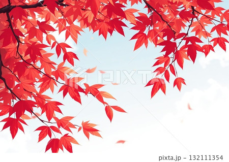 秋の紅葉 132111354