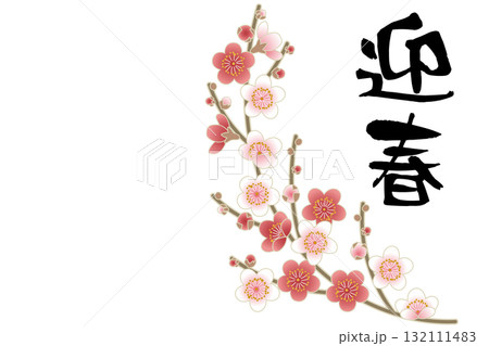 上品な梅の花と迎春の筆文字を組み合わせた和風デザイン 上品な梅の花と迎春の筆文字を組み合わせた和風デザイン 132111483