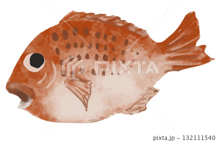 水彩で描いた鯛 132111540