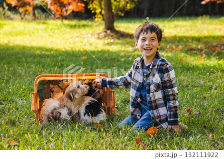 Smiling boy playing with Havanese puppies in a box on a sunny autumn day outdoors Smiling boy playing with Havanese puppies in a box on a sunny autumn day outdoors 132111922