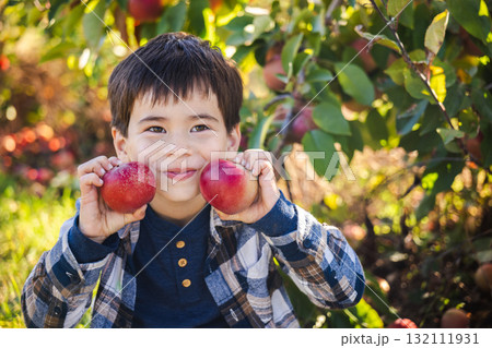 Happy boy holding two red apples while smiling in an orchard on a sunny autumn day Happy boy holding two red apples while smiling in an orchard on a sunny autumn day 132111931