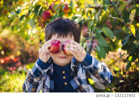 Playful boy holding two apples over his eyes while sitting in an orchard on a sunny autumn day Playful boy holding two apples over his eyes while sitting in an orchard on a sunny autumn day 132111932