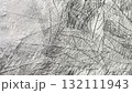 鉛筆で描いた桑の葉の葉脈、鉛筆で描いた葉っぱの葉脈、鉛筆画の背景素材 132111943