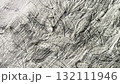 鉛筆で描いた小さな蔦の葉っぱ、鉛筆で描いた葉っぱの葉脈、鉛筆画の背景素材 132111946