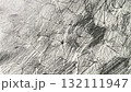 鉛筆で描いた木蔦の葉っぱ、鉛筆で描いた葉っぱの葉脈、鉛筆画の背景素材 132111947
