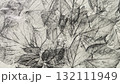 鉛筆で描いた木蔦の葉っぱ、鉛筆で描いた葉っぱの葉脈、鉛筆画の背景素材 132111949
