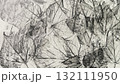 鉛筆で描いた木蔦の葉っぱ、鉛筆で描いた葉っぱの葉脈、鉛筆画の背景素材 132111950
