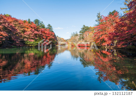 軽井沢・雲場池（秋） 132112187
