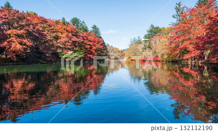 軽井沢・雲場池（秋） 132112190