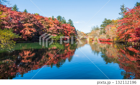 軽井沢・雲場池（秋） 132112196