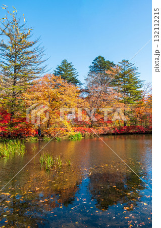 軽井沢・雲場池（秋） 132112215