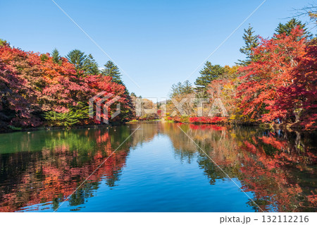 軽井沢・雲場池（秋） 132112216