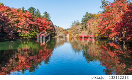 軽井沢・雲場池（秋） 132112218