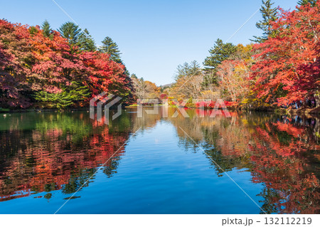 軽井沢・雲場池（秋） 132112219