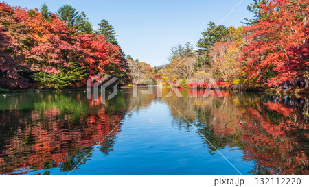 軽井沢・雲場池（秋） 132112220