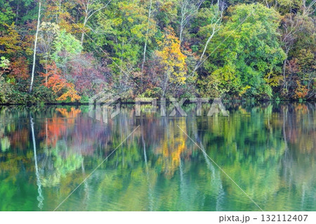 丸池の紅葉 132112407