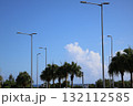 南国の青空に映える街灯と入道雲 132112585