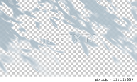 白っぽい壁に映る木の葉の柔らかい影、クリーンでミニマルなテクスチャ背景素材 132112687