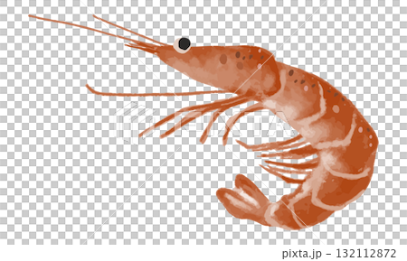 散裝水彩蝦 132112872