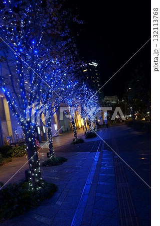 青いイルミネーション 青いイルミネーション 132113768