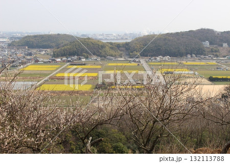 龍野梅林 お祭り 春の訪れ 初春 姫路 龍野梅林 お祭り 春の訪れ 初春 姫路 132113788