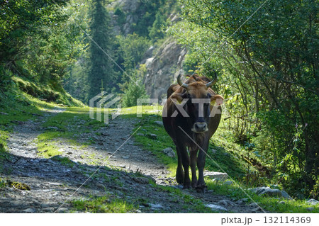 キルギス_Dzhetyoguz_Telety Camp-Kok Jaiyk Valley 132114369