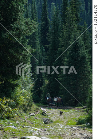 キルギス_Dzhetyoguz_Telety Camp-Kok Jaiyk Valley 132114370