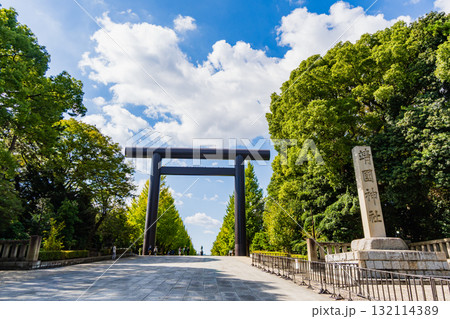 東京都　秋の靖国神社 132114389