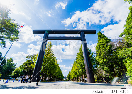 東京都　秋の靖国神社 132114390