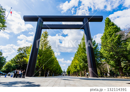 東京都　秋の靖国神社 132114391